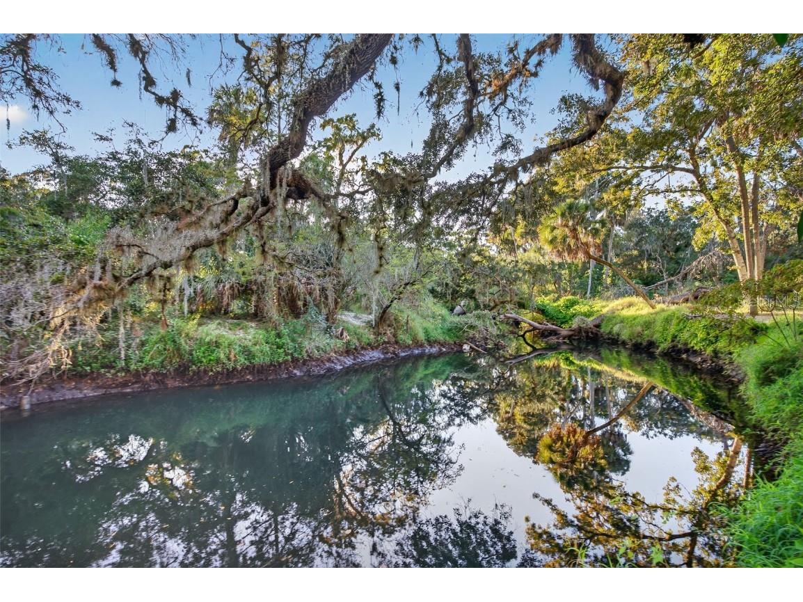 6345 Lost Trail Holiday FL 34690 - ANCLOTE RIVER W7881056 image3