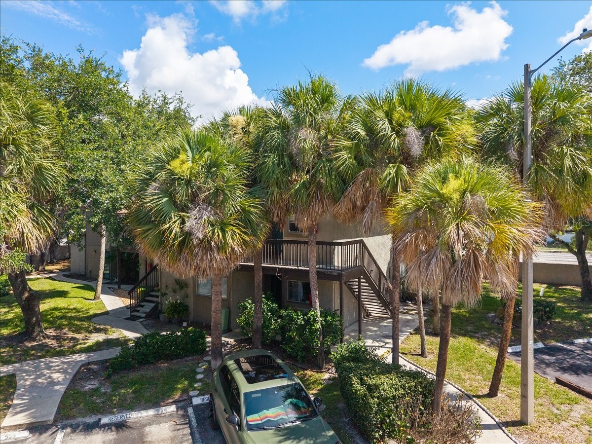 6345 Newtown Circle #45B2 Tampa FL 33615 TB8515505 image31