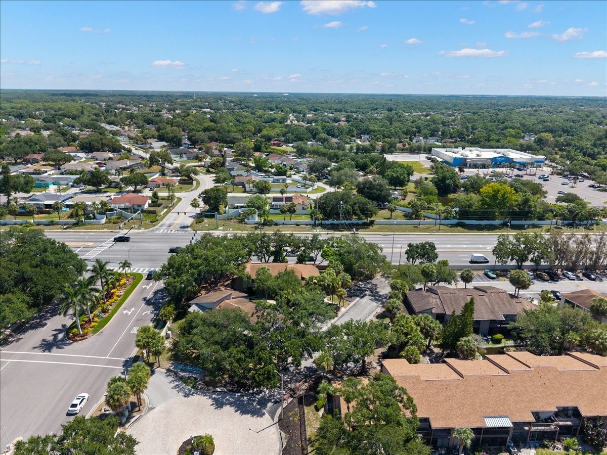 6345 Newtown Circle #45B2 Tampa FL 33615 TB8515505 image39