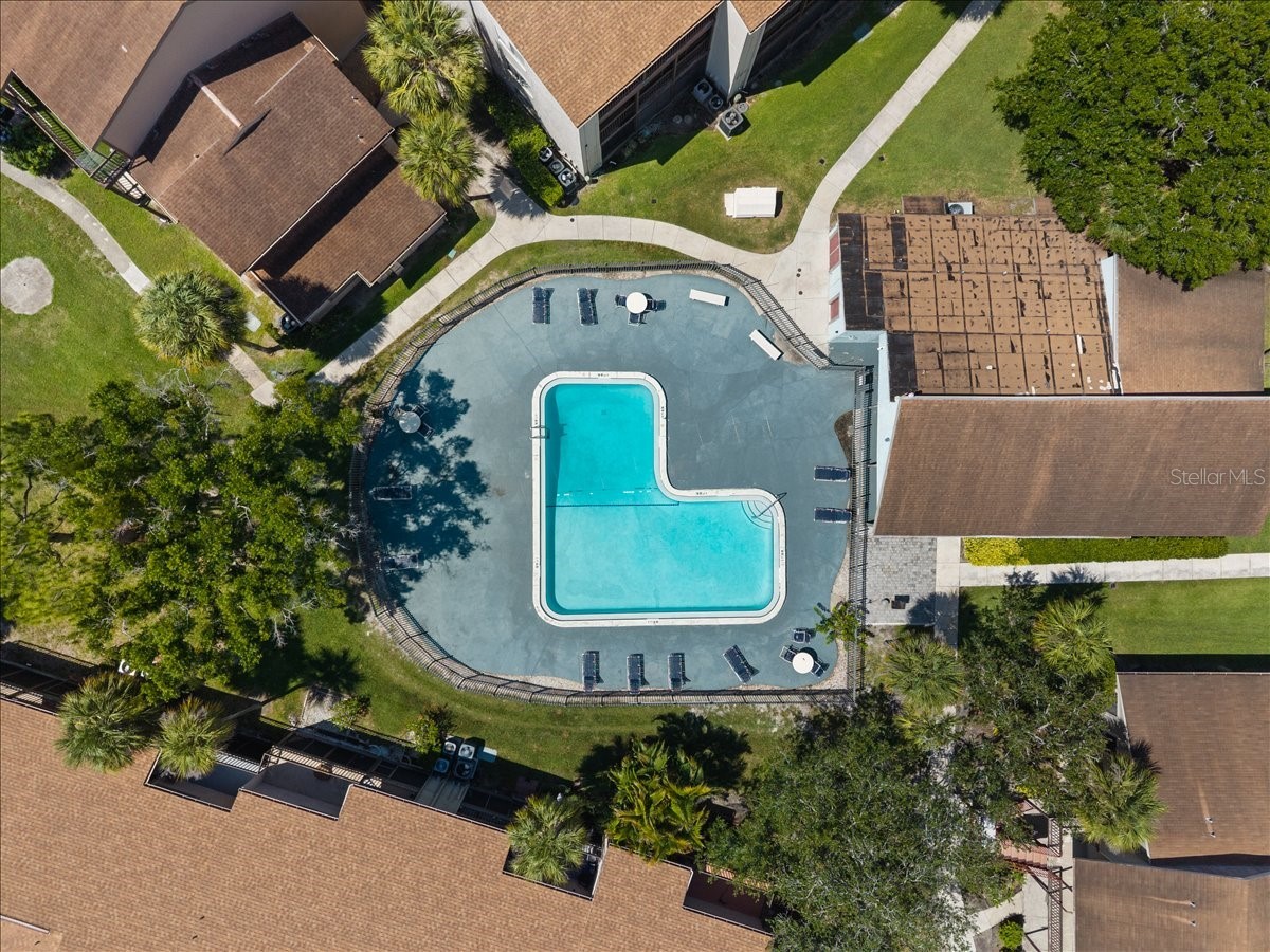 6345 Newtown Circle #45B2 Tampa FL 33615 TB8515505 image40