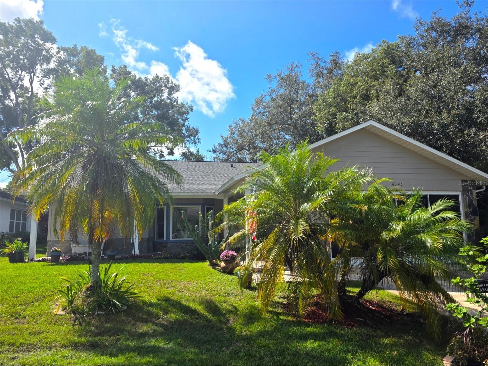 6345 Pine Meadows Drive Spring Hill FL 34606 W7880245 image1