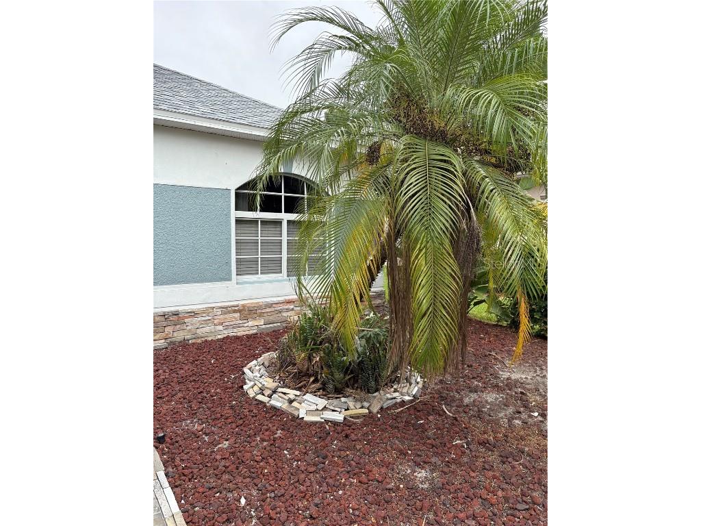 6346 Bobby Jones Court Palmetto FL 34221 TB8437045 image8