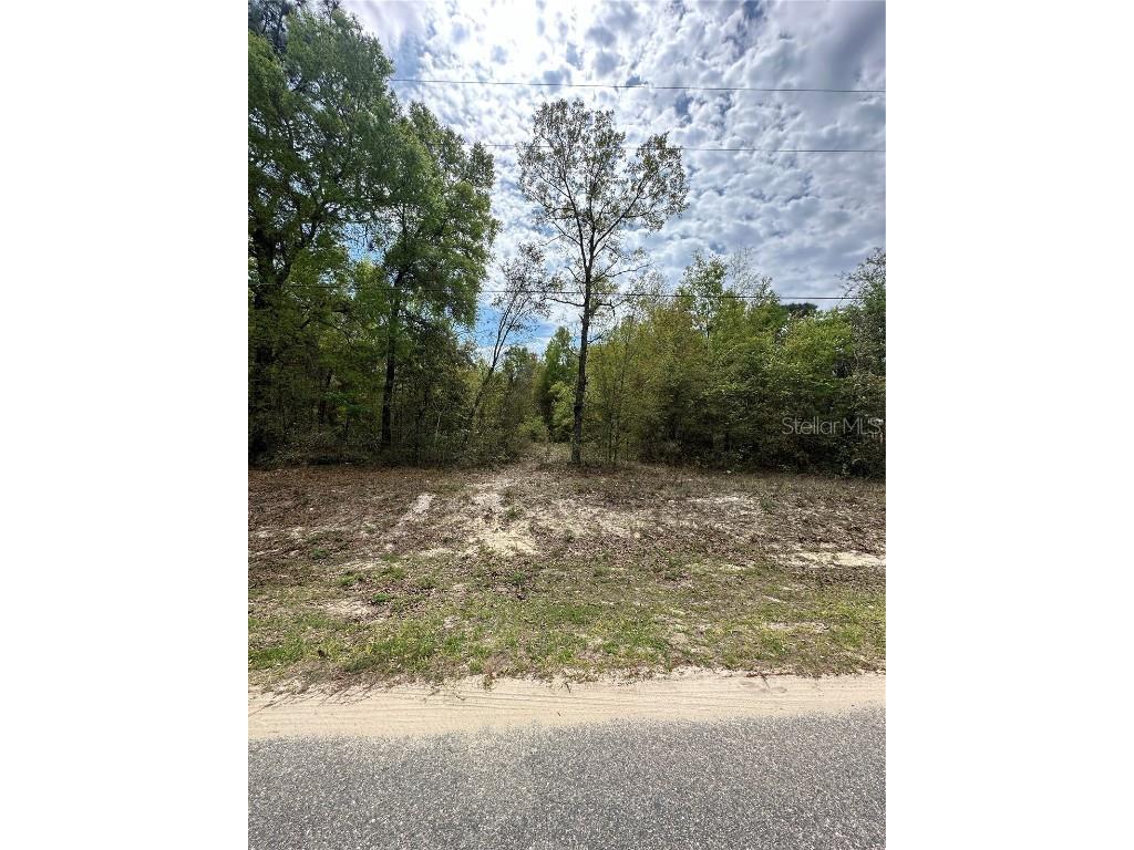 6347 Baylor Avenue Keystone Heights FL 32656 GC519313 image1