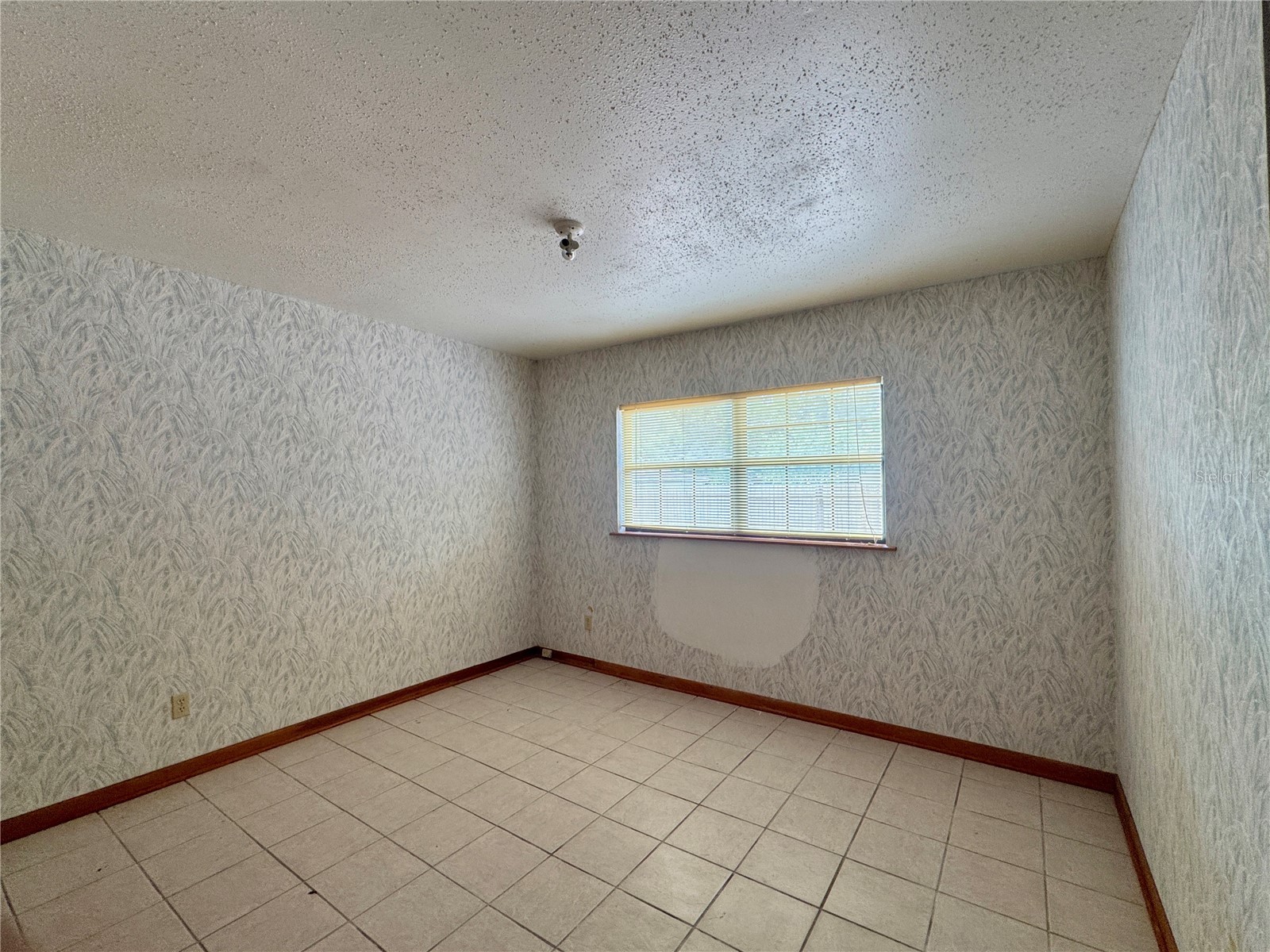 6347 Boxwood Street Brooksville FL 34602 TB8507438 image11