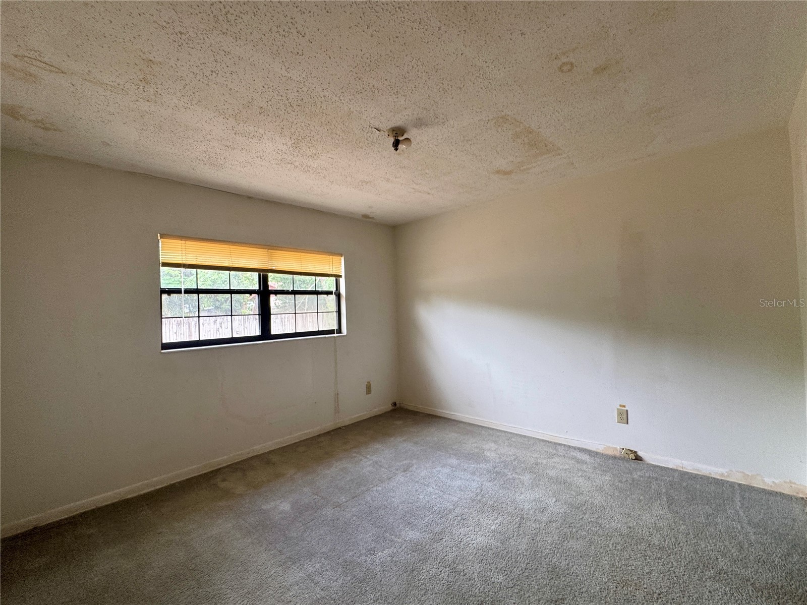 6347 Boxwood Street Brooksville FL 34602 TB8507438 image13
