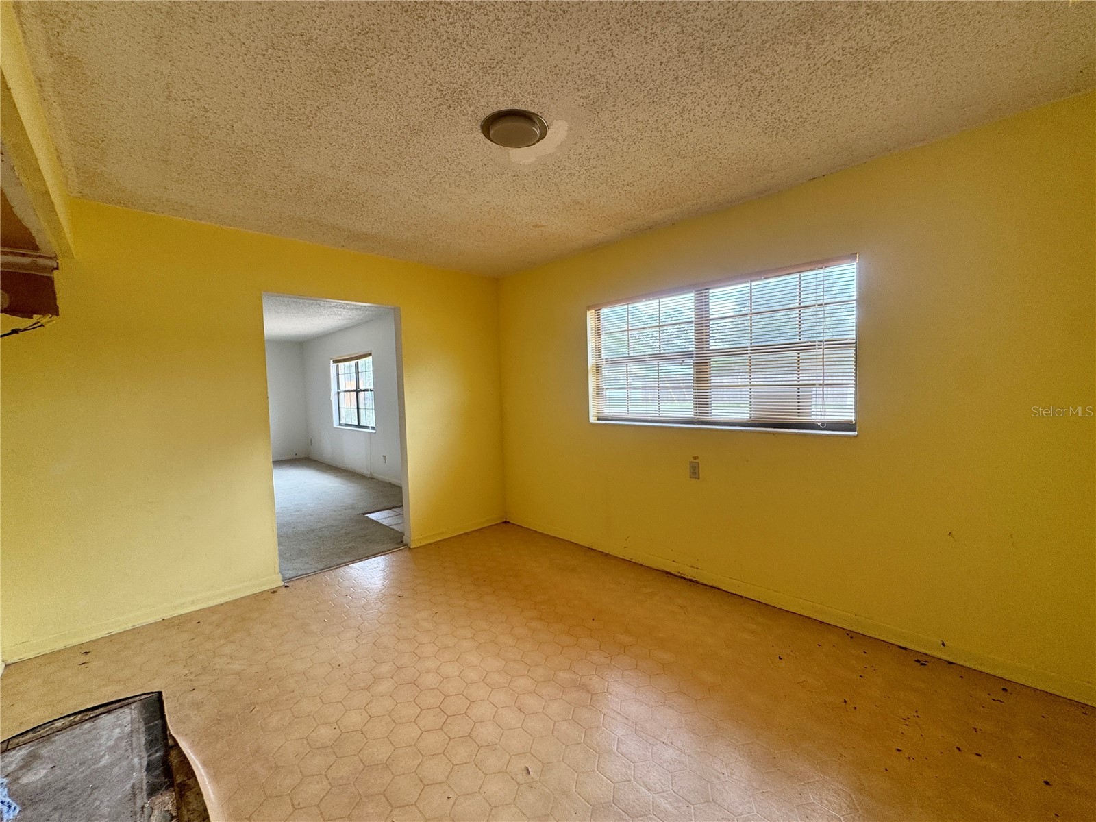 6347 Boxwood Street Brooksville FL 34602 TB8507438 image9