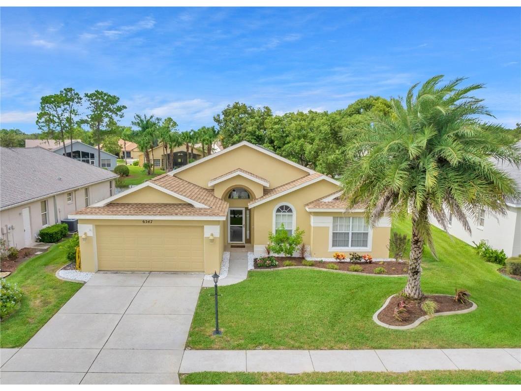 6347 Clark Lake Drive New Port Richey FL 34655 T3327945 image1