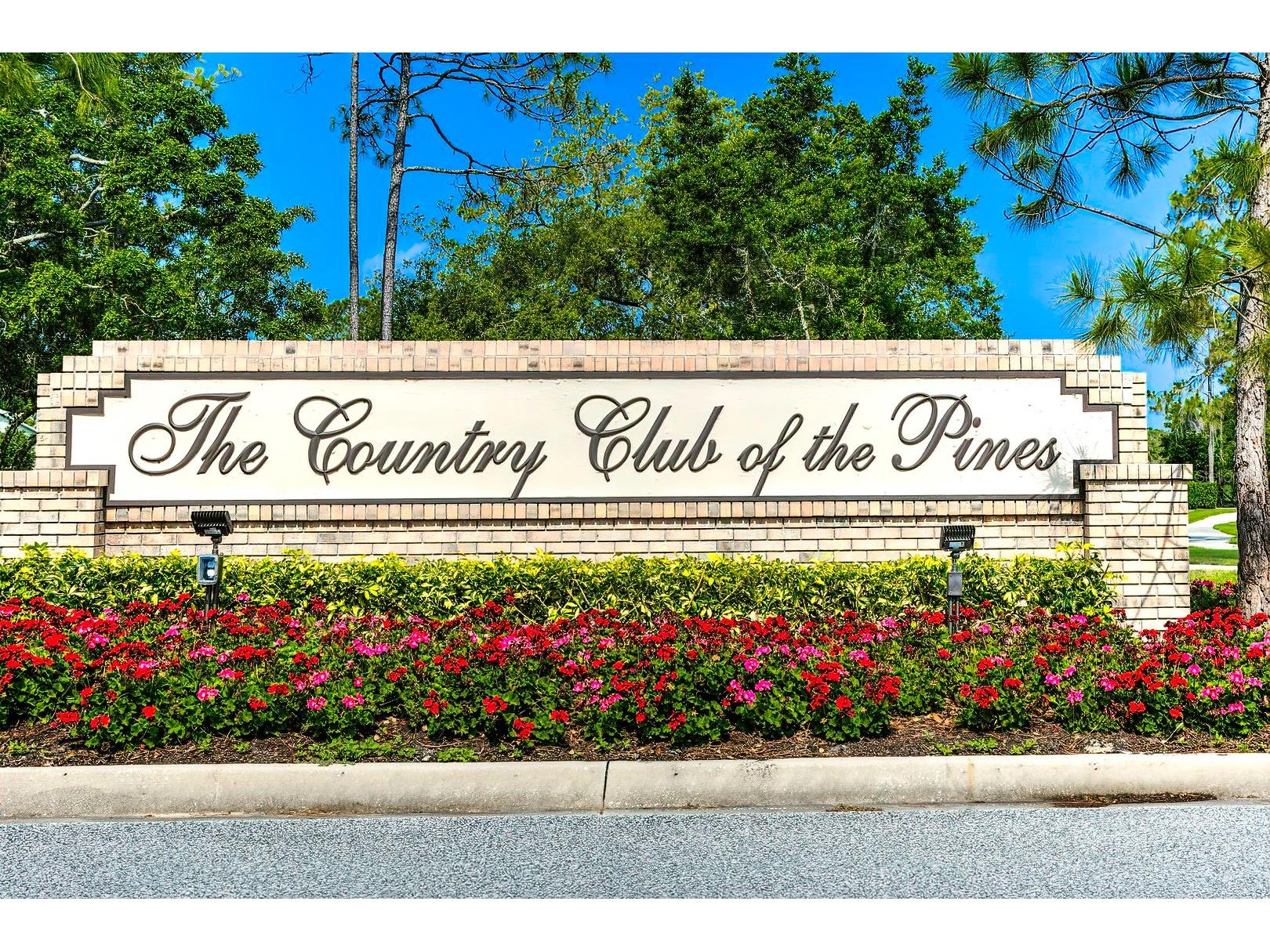 6347 Darien Way Spring Hill FL 34606 W7884460 image42