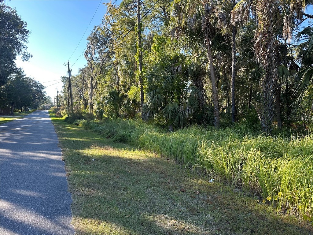 6347 W Arter Street Crystal River FL 34429 TB8451627 image3