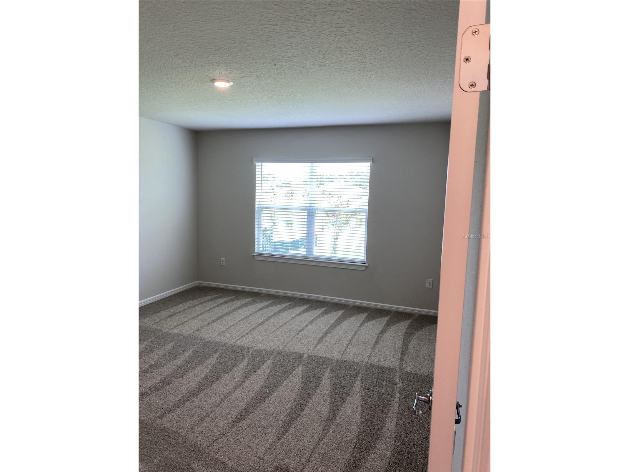 6348 Dutton Drive Wesley Chapel FL 33545 - WESBRIDGE COMMUNITY POND TB8493346 image12