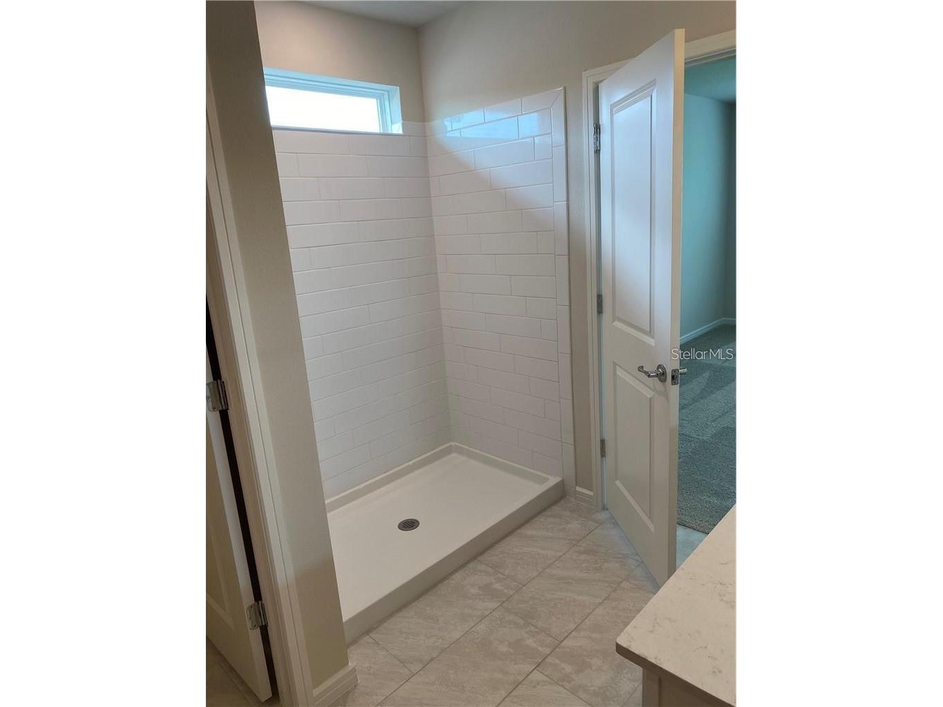 6348 Dutton Drive Wesley Chapel FL 33545 - WESBRIDGE COMMUNITY POND TB8493346 image13