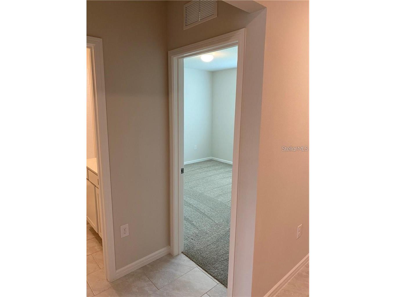 6348 Dutton Drive Wesley Chapel FL 33545 - WESBRIDGE COMMUNITY POND TB8493346 image20