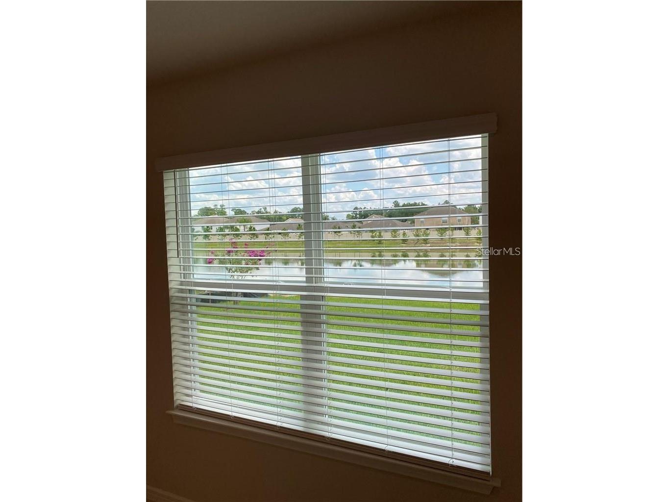 6348 Dutton Drive Wesley Chapel FL 33545 - WESBRIDGE COMMUNITY POND TB8493346 image9