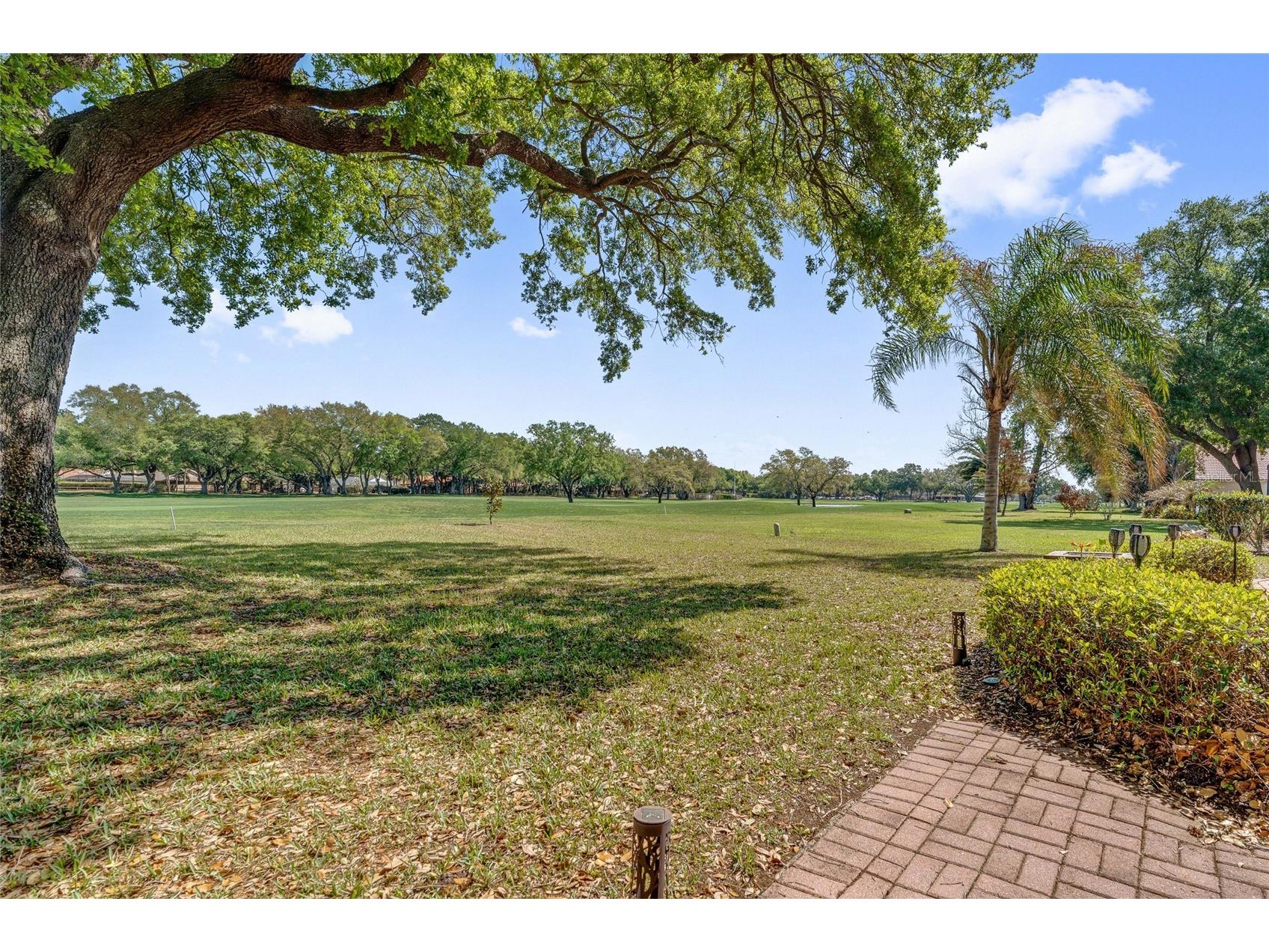 6349 Parson Brown Drive Orlando FL 32819 O6391720 image23