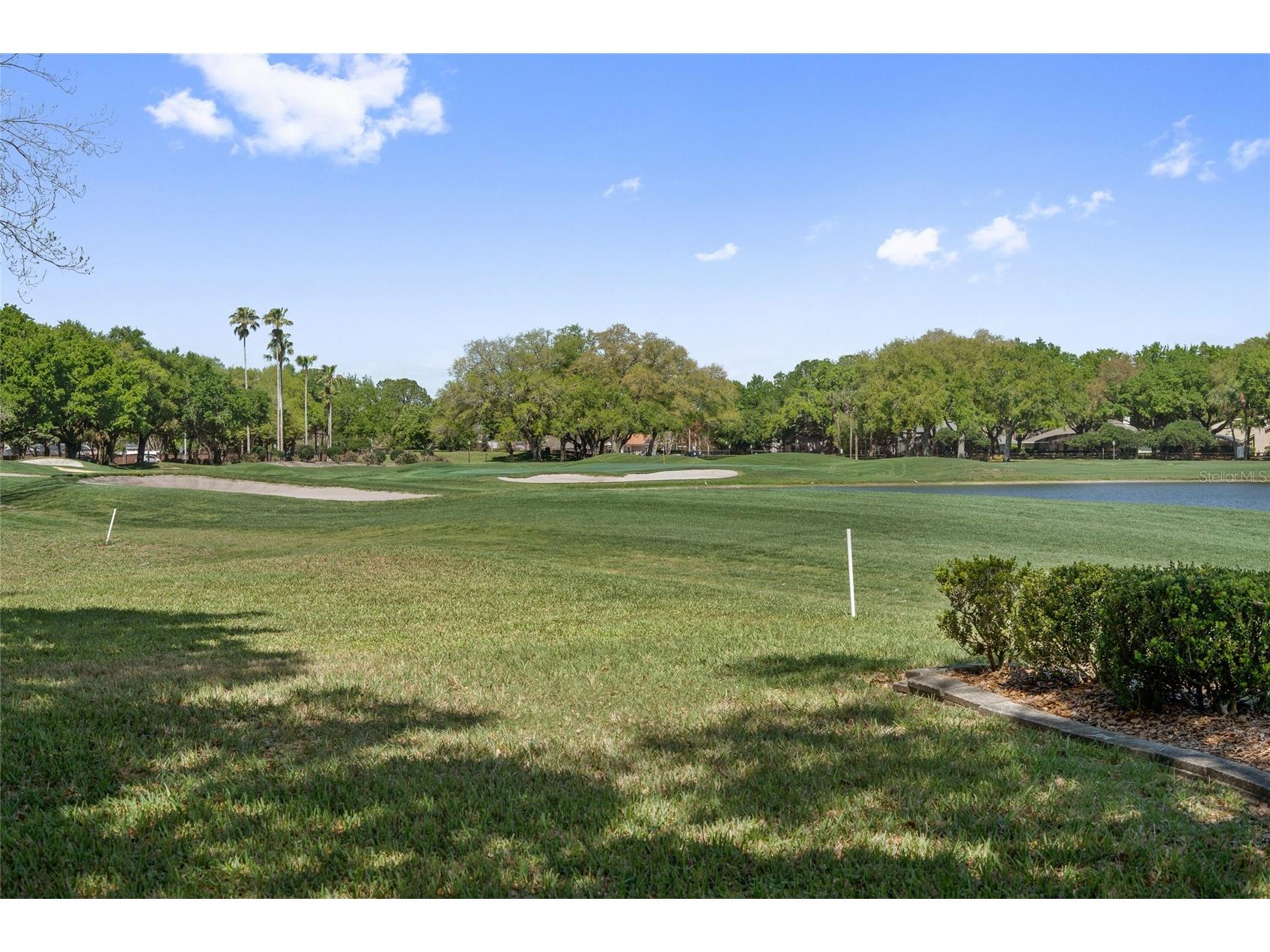 6349 Parson Brown Drive Orlando FL 32819 O6391720 image25