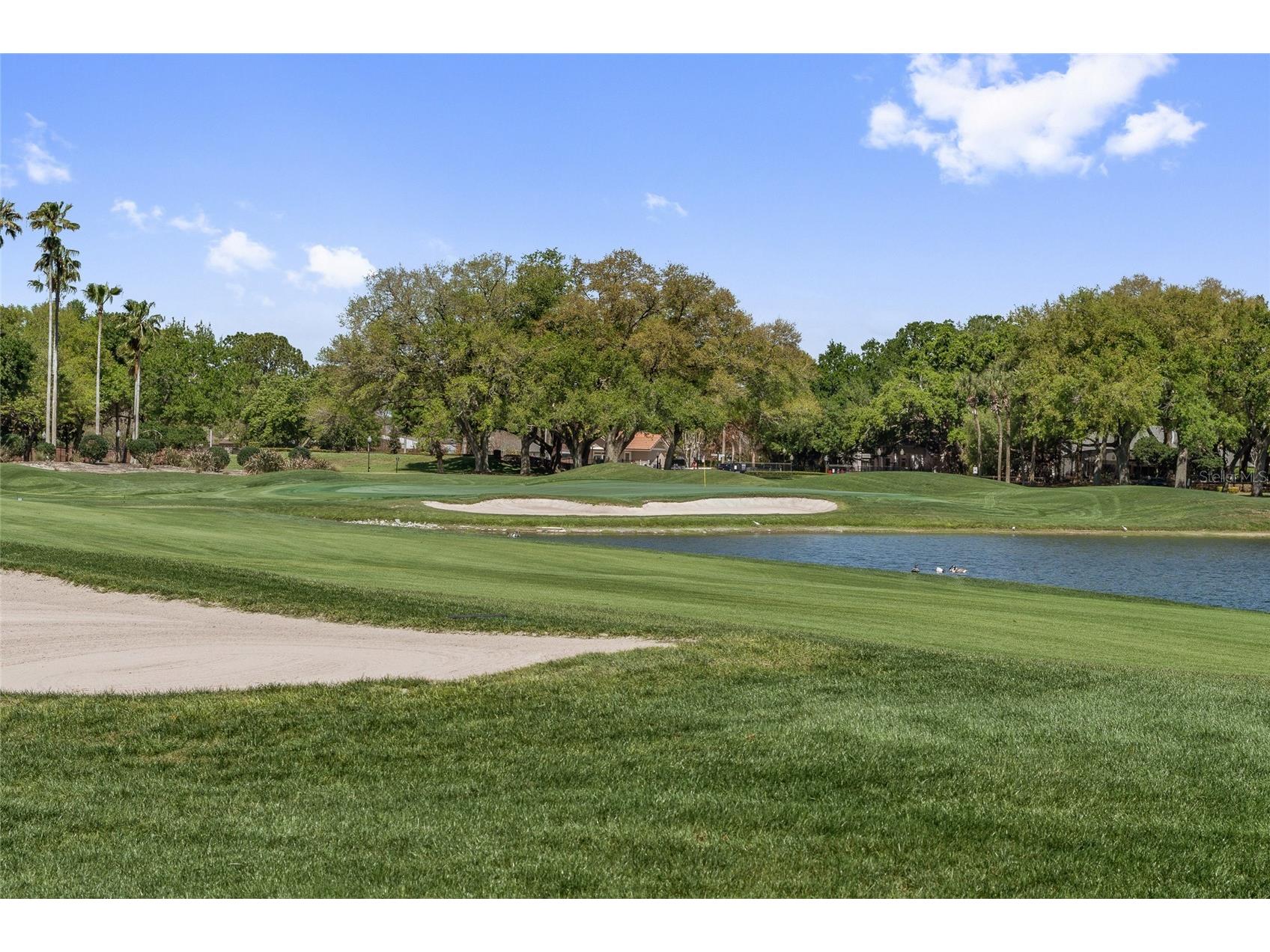 6349 Parson Brown Drive Orlando FL 32819 O6391720 image26