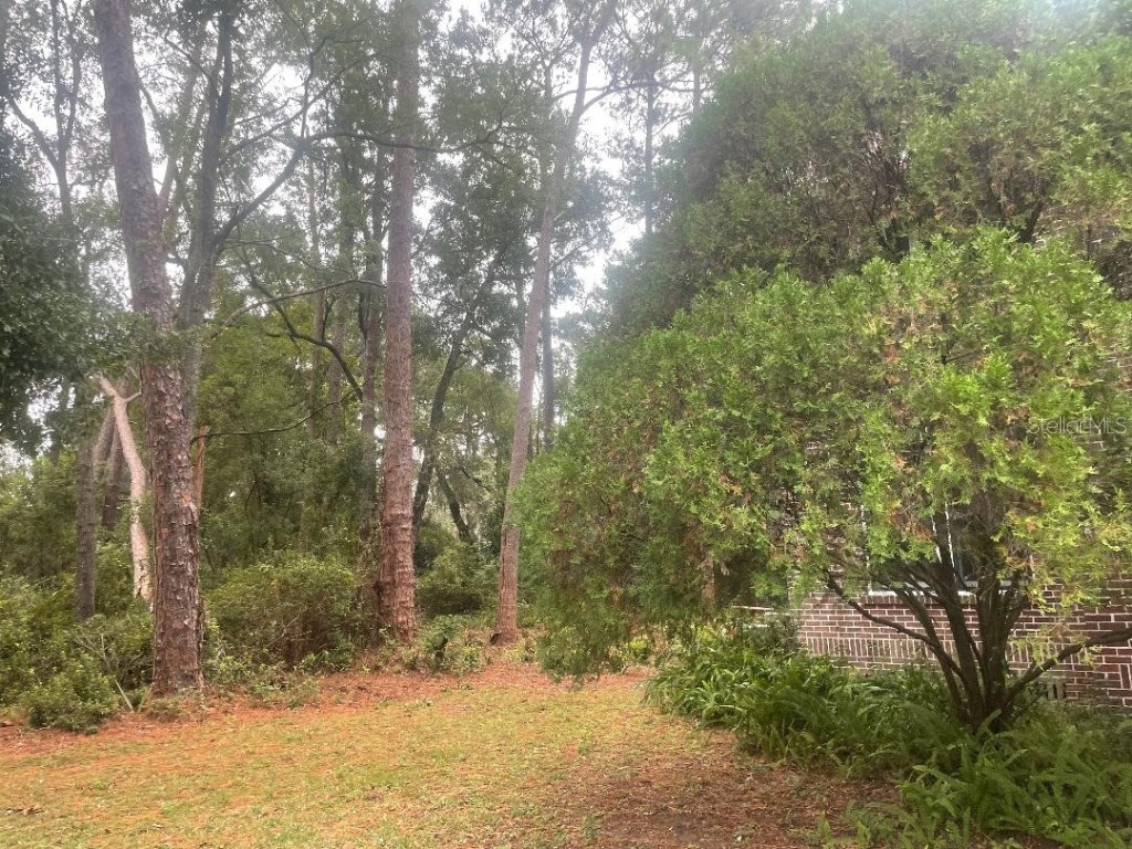 635 NE 9th Avenue Gainesville FL 32601 GC534686 image16