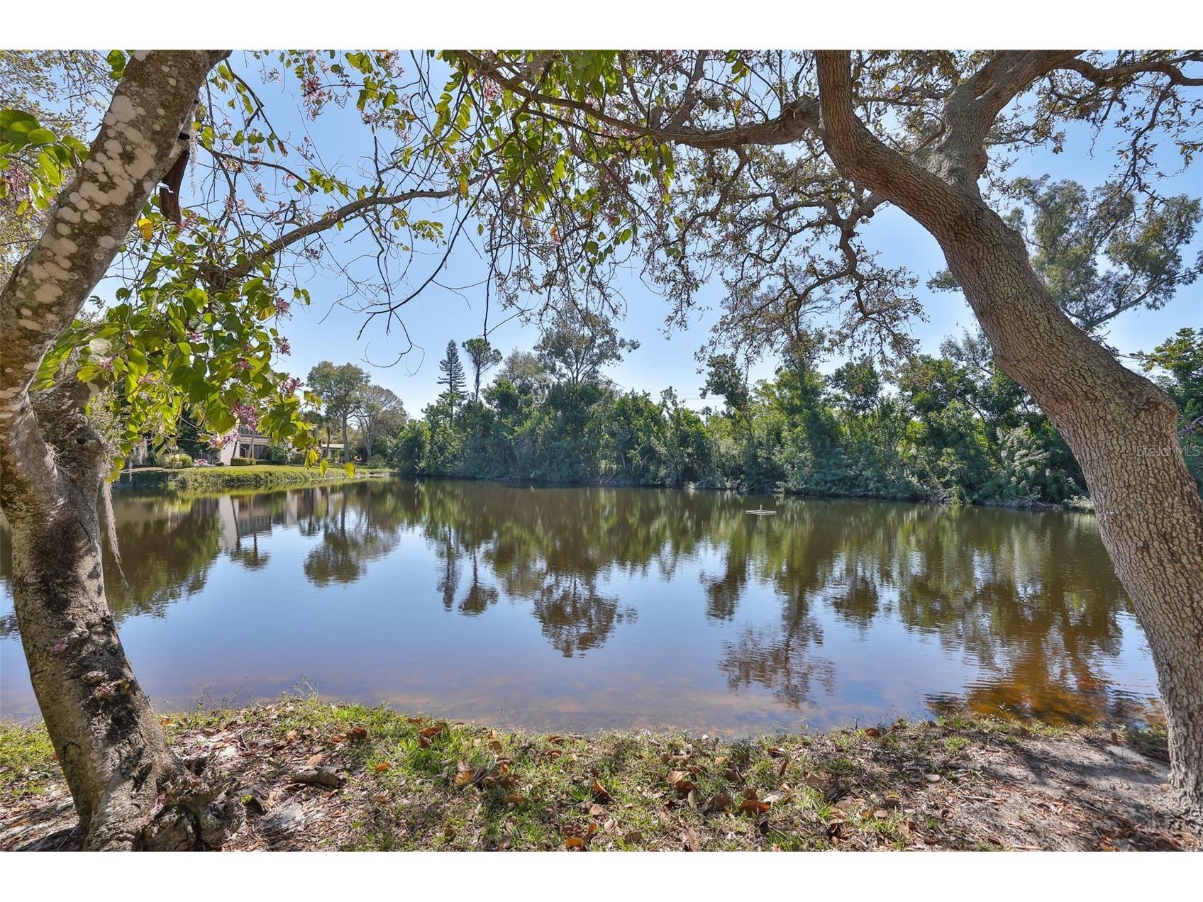 635 Woodlawn Drive #635 Bradenton FL 34210 A4683537 image1