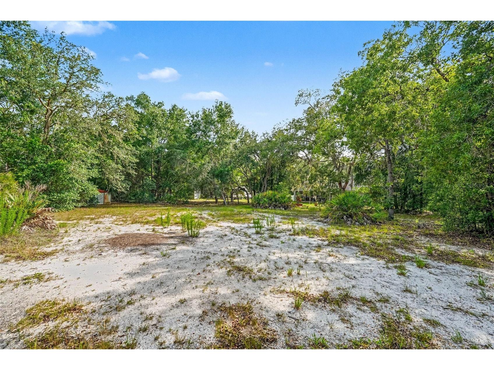 6350 Biltmore Avenue Webster FL 33597 O6415532 image29