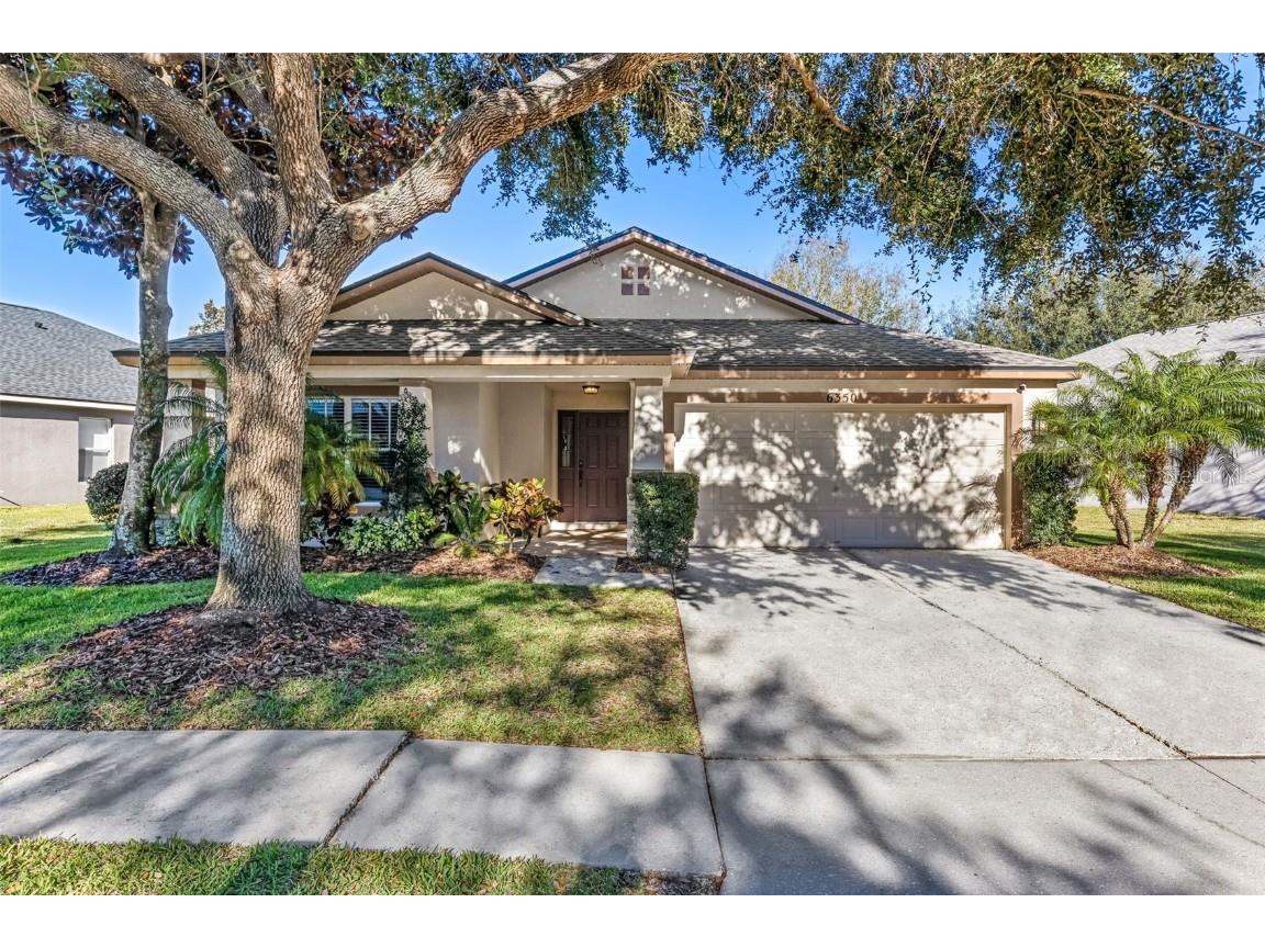 6350 Bridgecrest Drive Lithia FL 33547 T3503219 image1