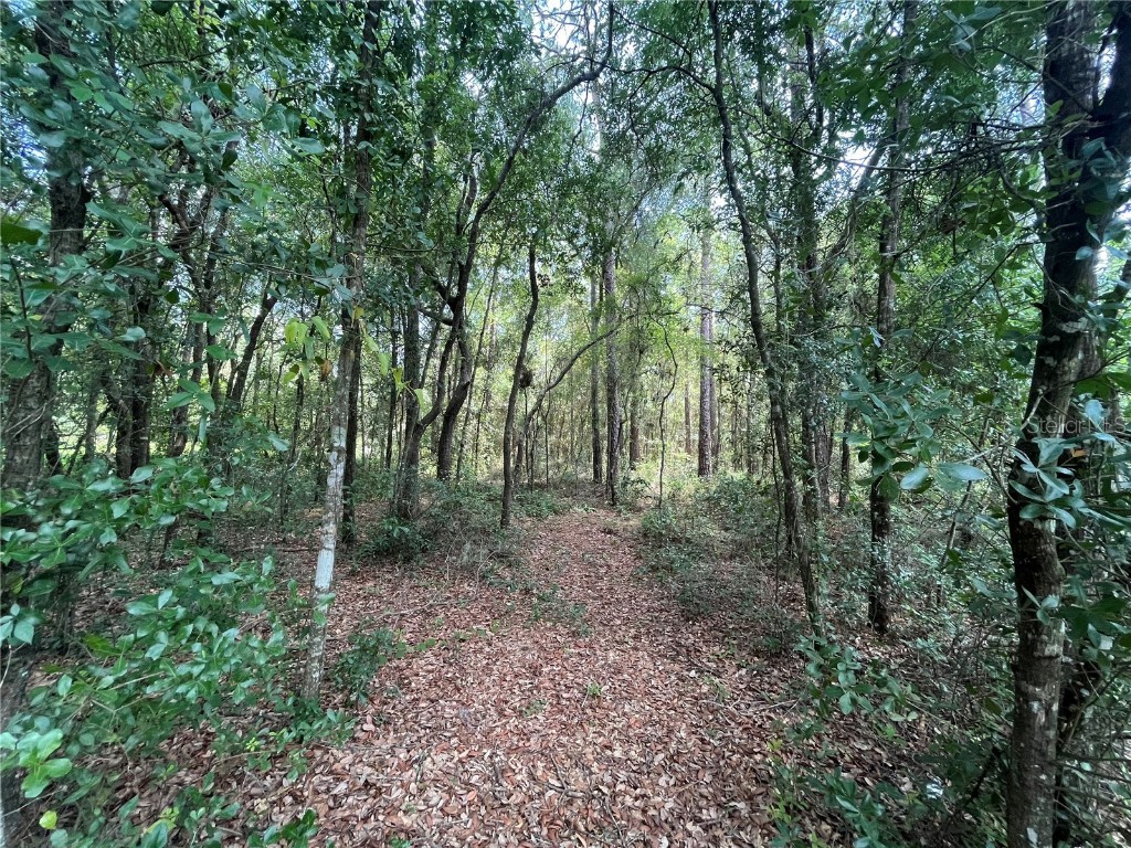 6350 Little Lake Geneva Road Keystone Heights FL 32656 OK223018 image1