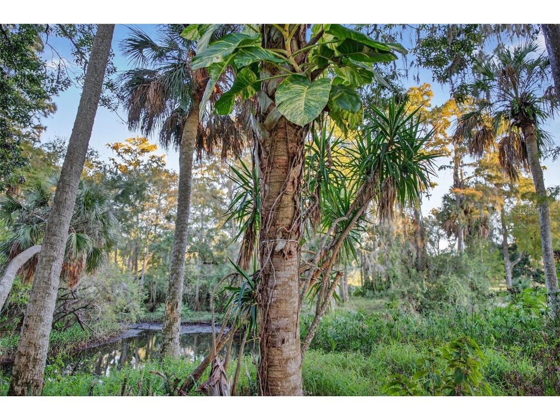 6350 Lost Trail Holiday FL 34690 - ANCLOTE RIVER W7881057 image28