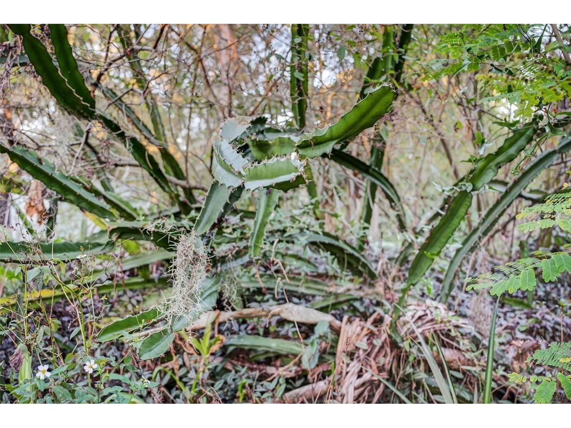 6350 Lost Trail Holiday FL 34690 - ANCLOTE RIVER W7881057 image29