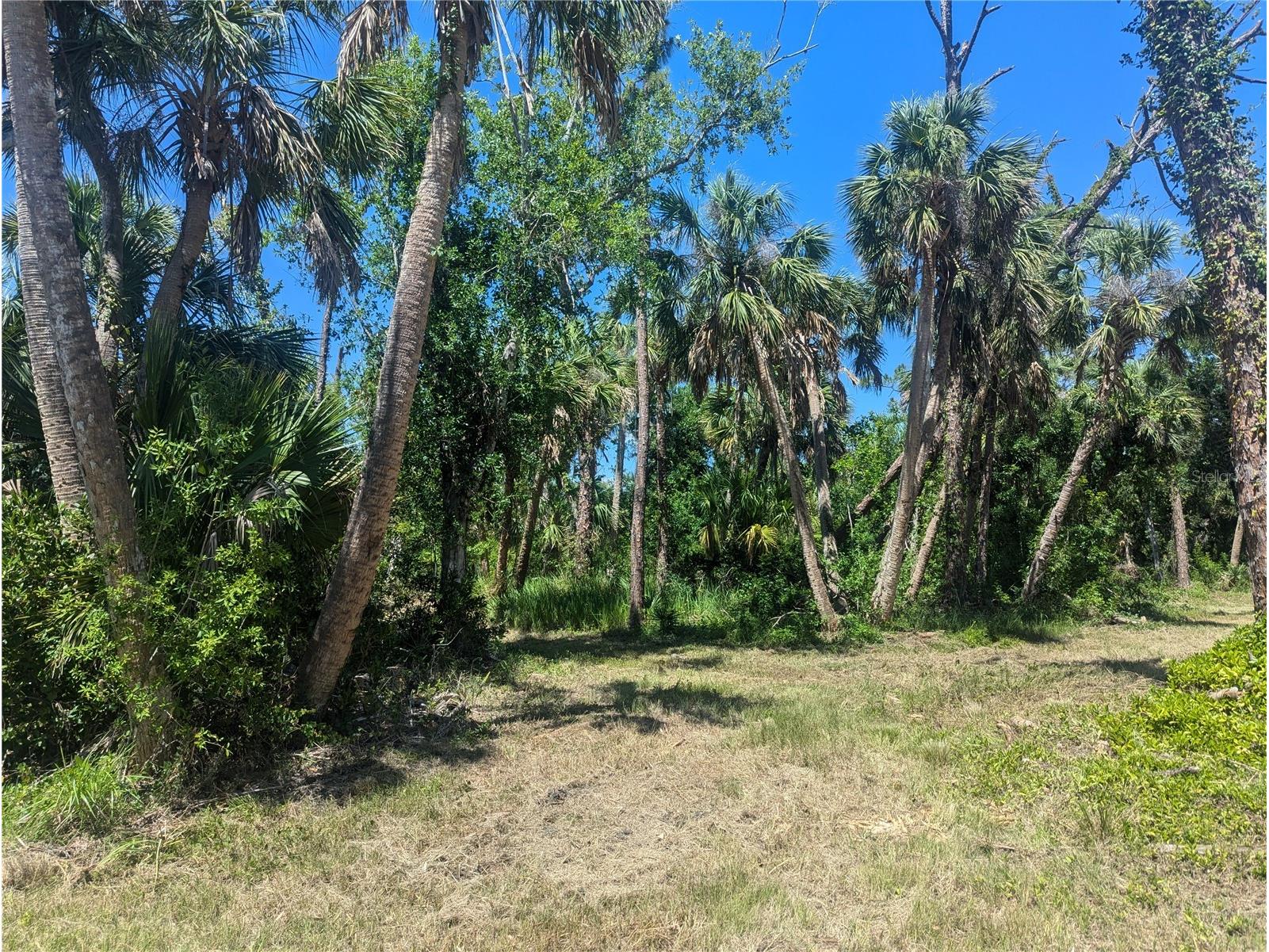 6350 Montauk Terrace Englewood FL 34224 - OYSTER CREEK A4682483 image5