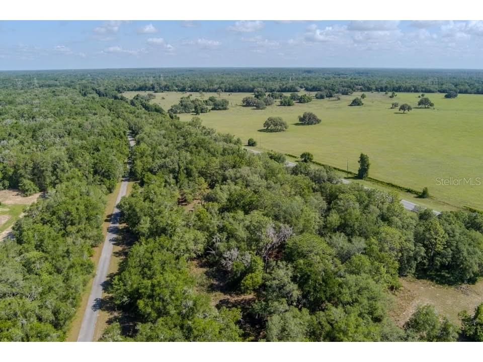 6350 N Florida Avenue Hernando FL 34442 A4694617 image2