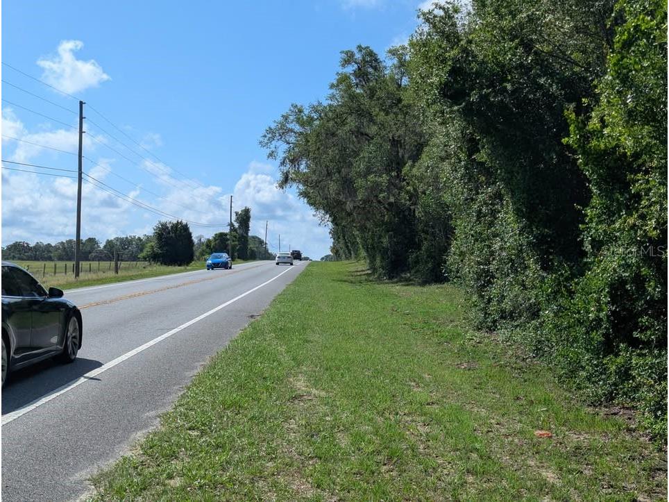 6350 N Florida Avenue Hernando FL 34442 A4694617 image7