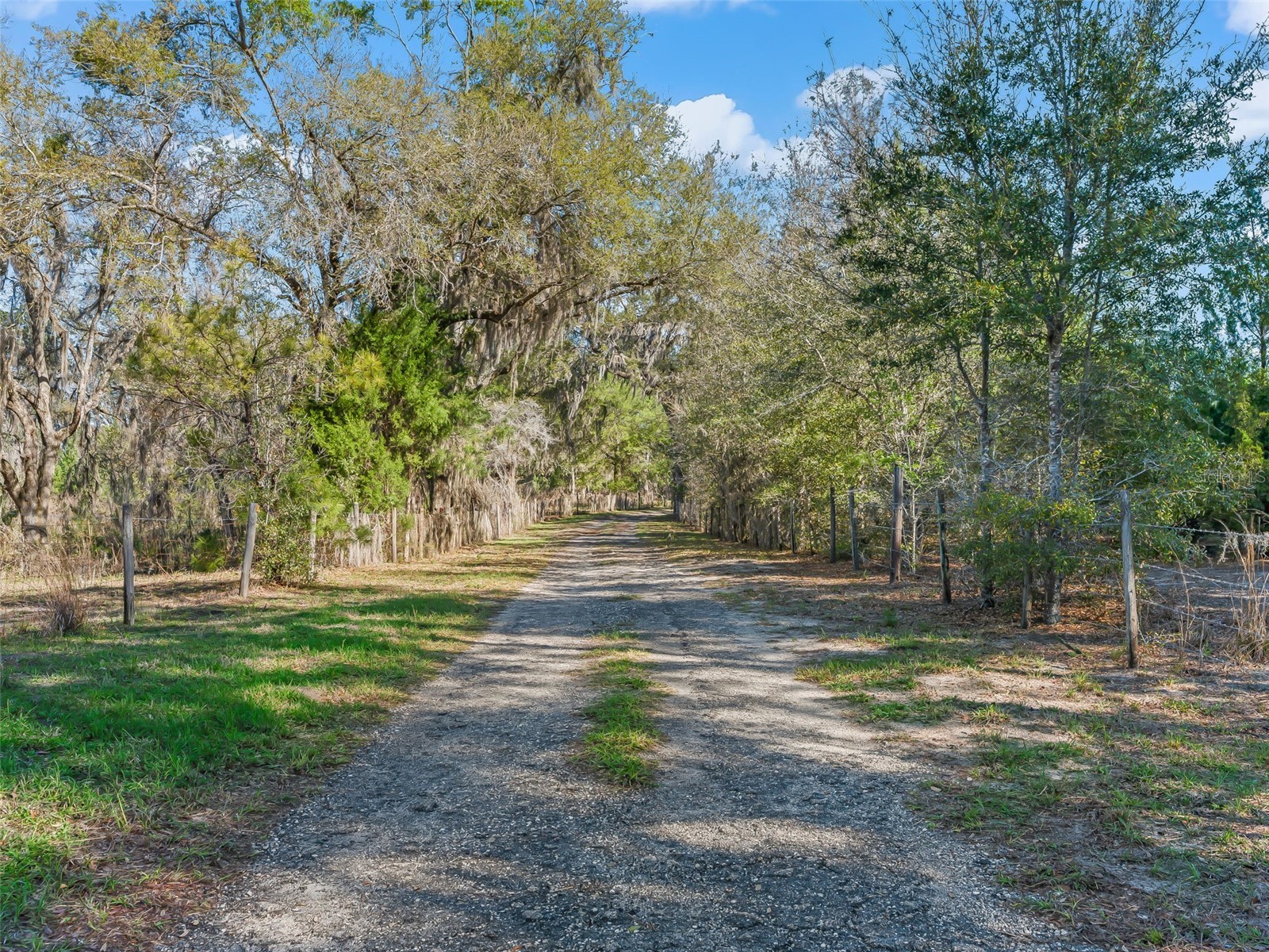 6350 NE 86th Avenue Bronson FL 32621 OM721098 image4