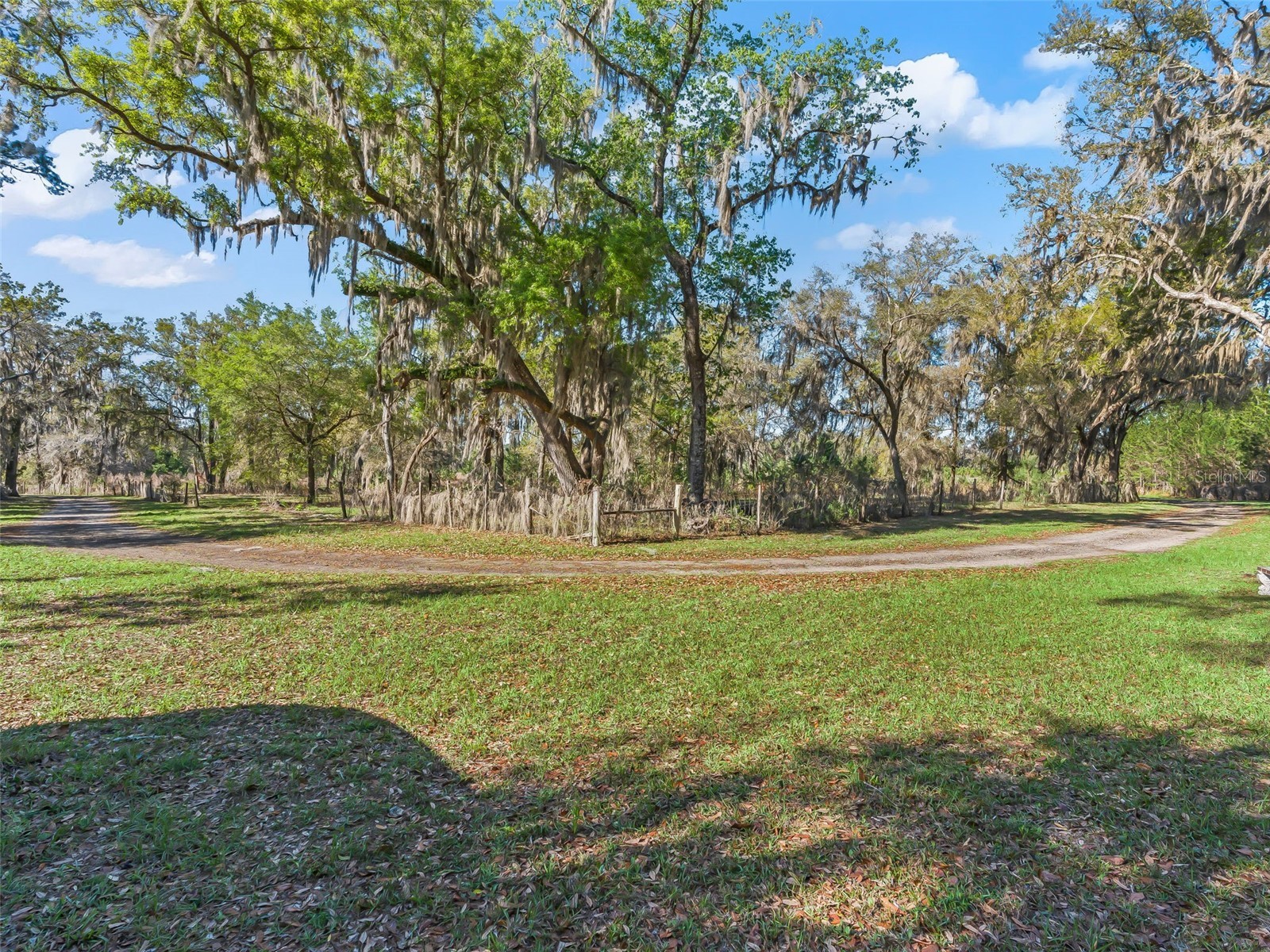 6350 NE 86th Avenue Bronson FL 32621 OM721098 image5