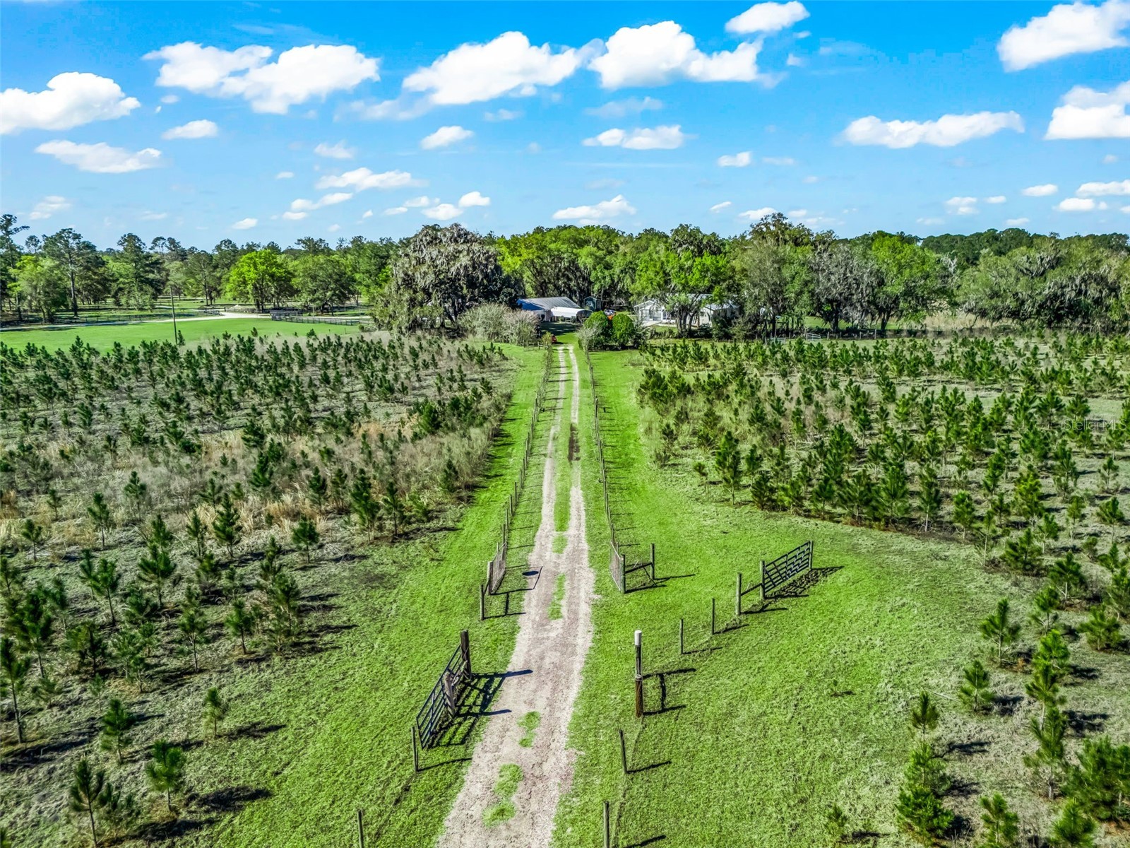 6350 NE 86th Avenue Bronson FL 32621 OM721098 image6