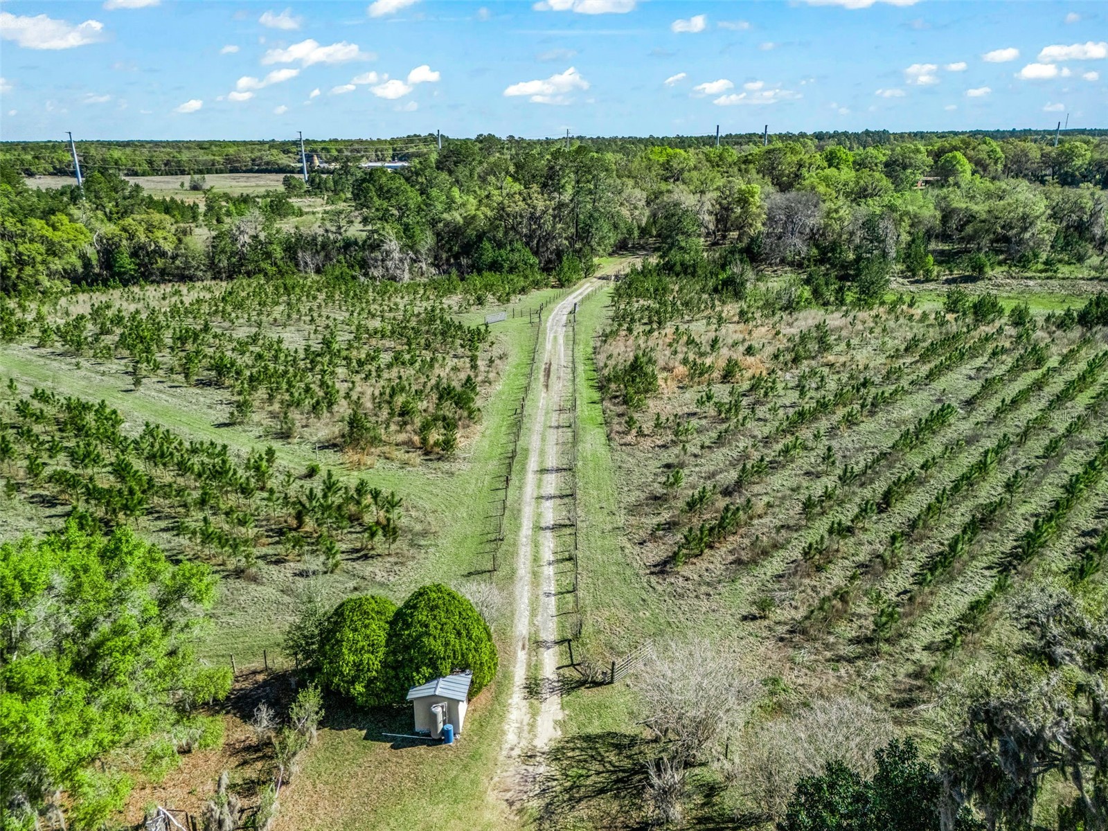 6350 NE 86th Avenue Bronson FL 32621 OM721098 image7