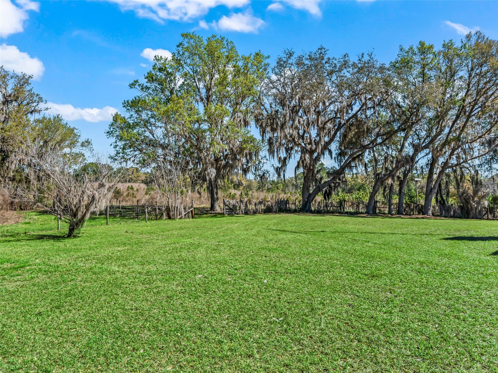 6350 NE 86th Avenue Bronson FL 32621 OM721098 image73