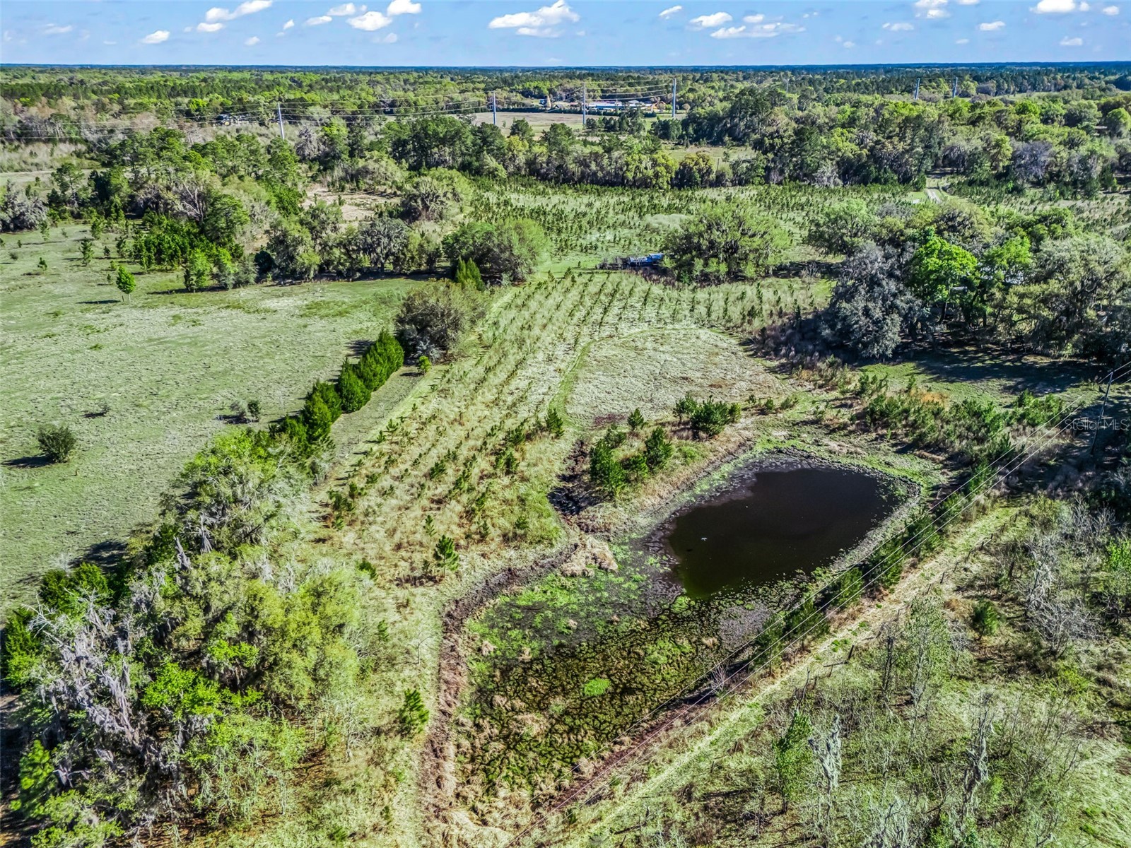 6350 NE 86th Avenue Bronson FL 32621 OM721098 image76