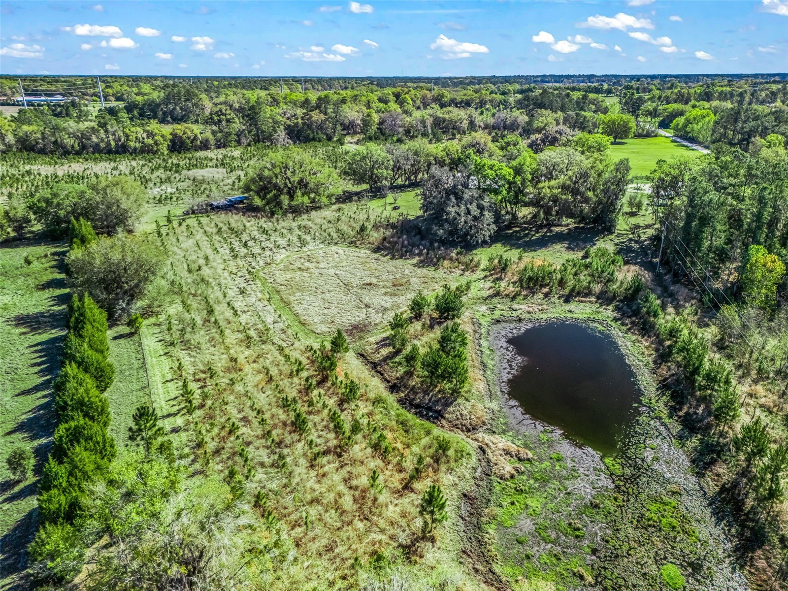 6350 NE 86th Avenue Bronson FL 32621 OM721098 image77