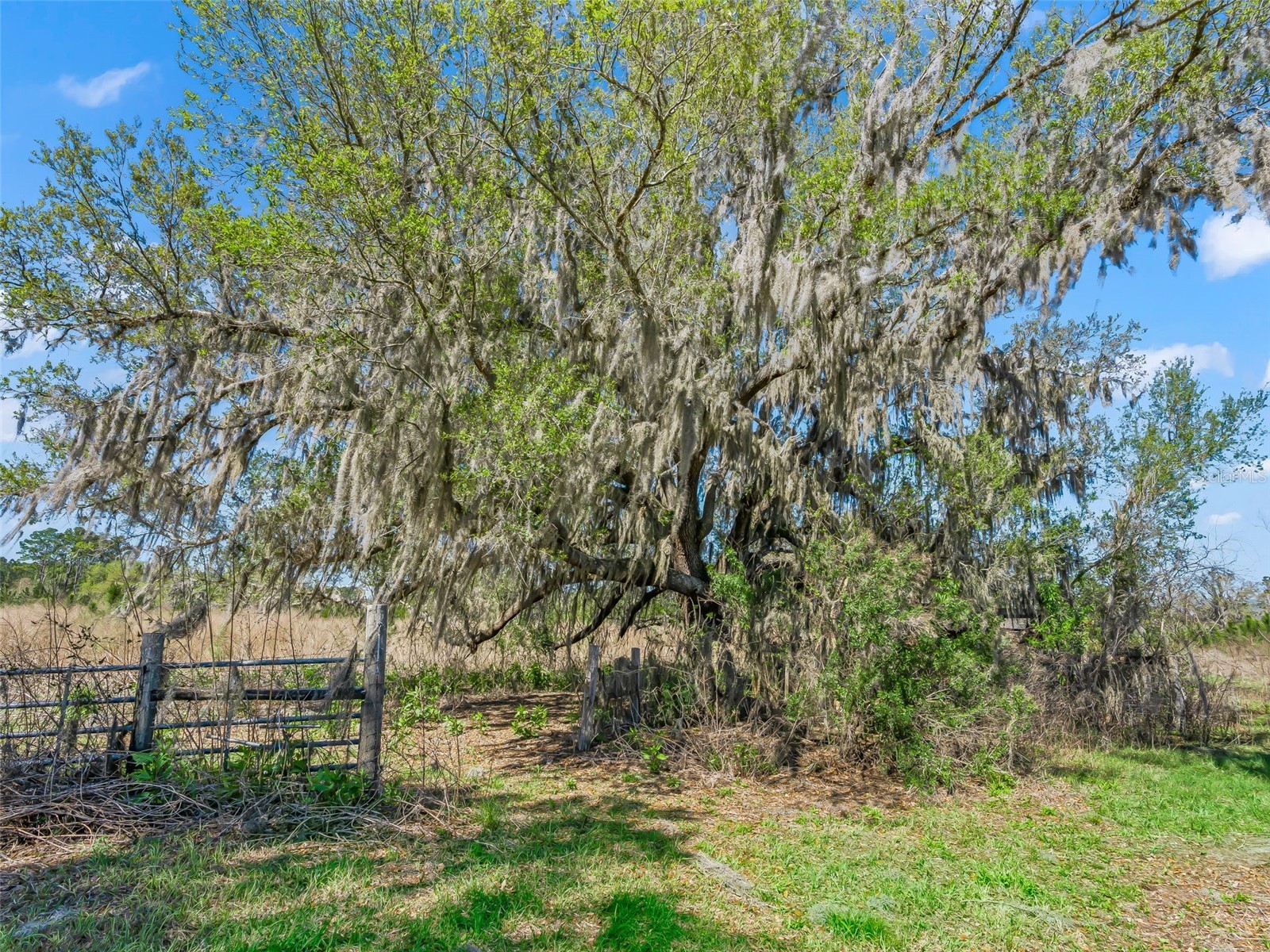 6350 NE 86th Avenue Bronson FL 32621 OM721098 image78