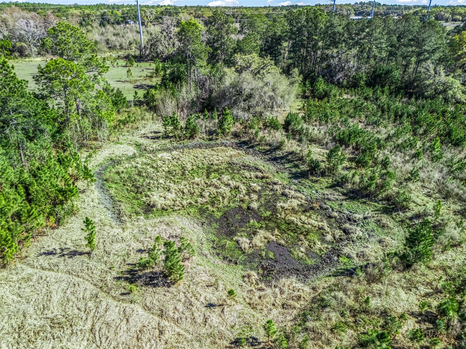 6350 NE 86th Avenue Bronson FL 32621 OM721098 image79