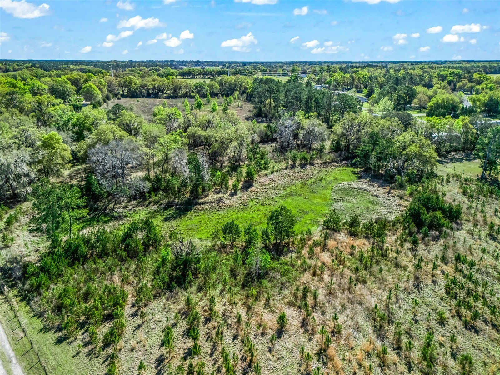 6350 NE 86th Avenue Bronson FL 32621 OM721098 image82