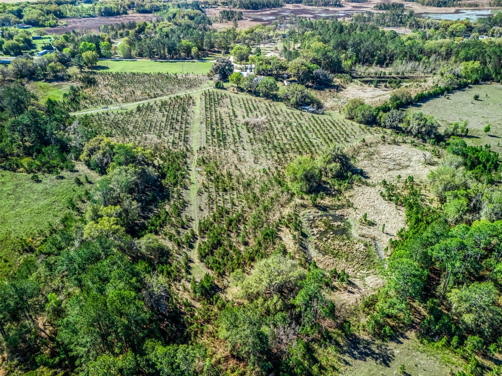 6350 NE 86th Avenue Bronson FL 32621 OM721098 image83