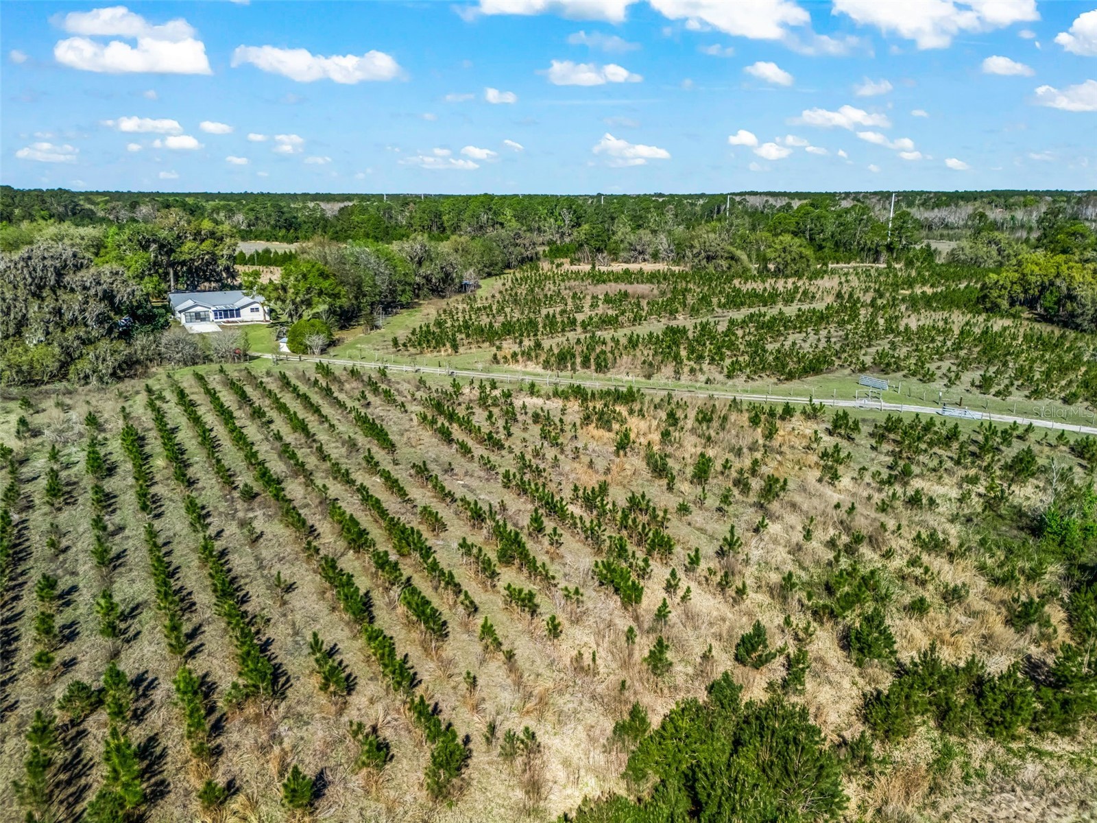 6350 NE 86th Avenue Bronson FL 32621 OM721098 image84