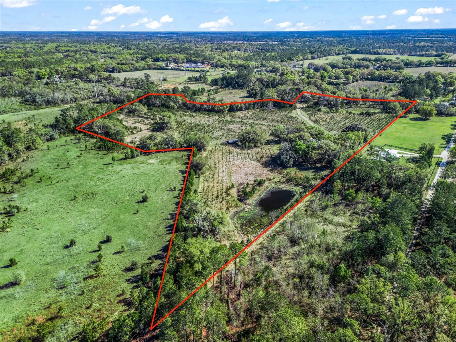 6350 NE 86th Avenue Bronson FL 32621 OM721098 image85