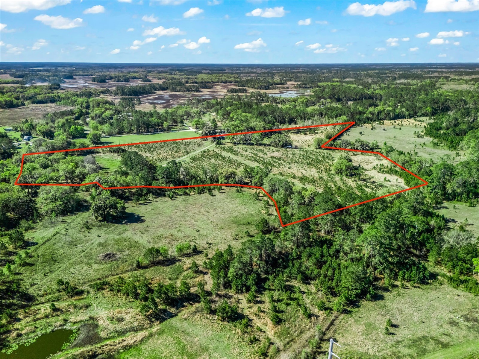 6350 NE 86th Avenue Bronson FL 32621 OM721098 image87
