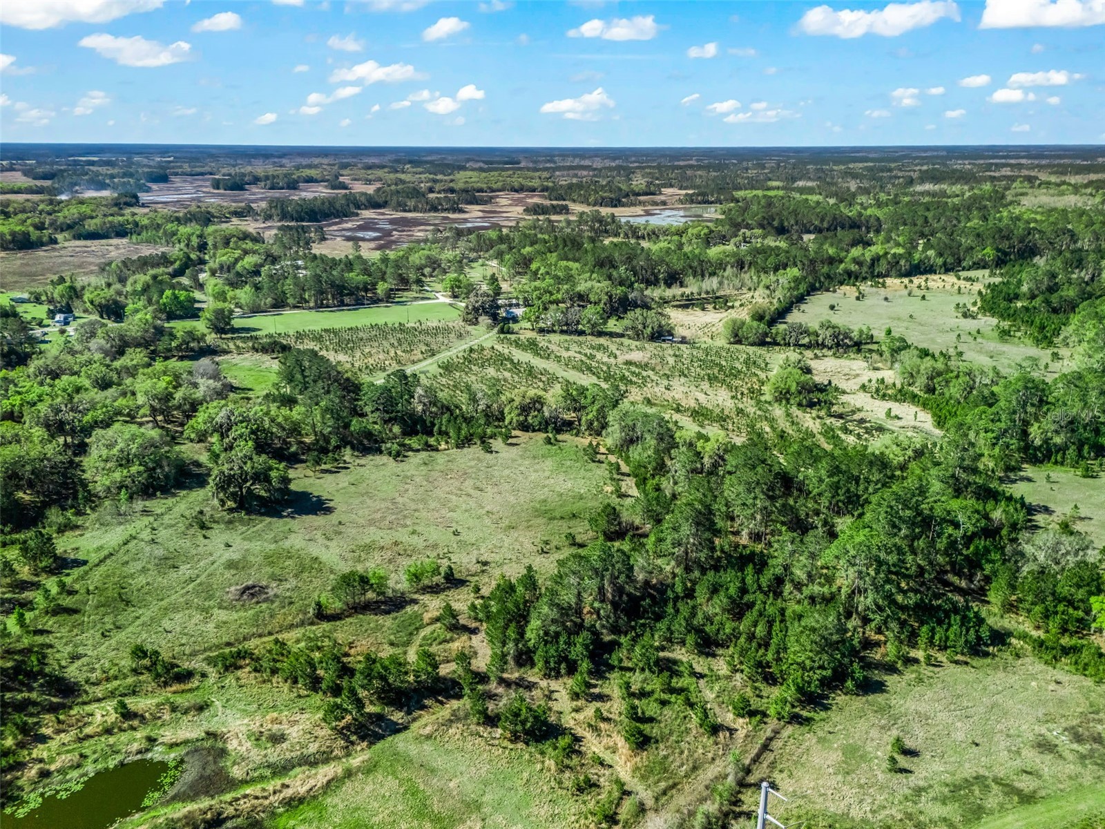 6350 NE 86th Avenue Bronson FL 32621 OM721098 image89