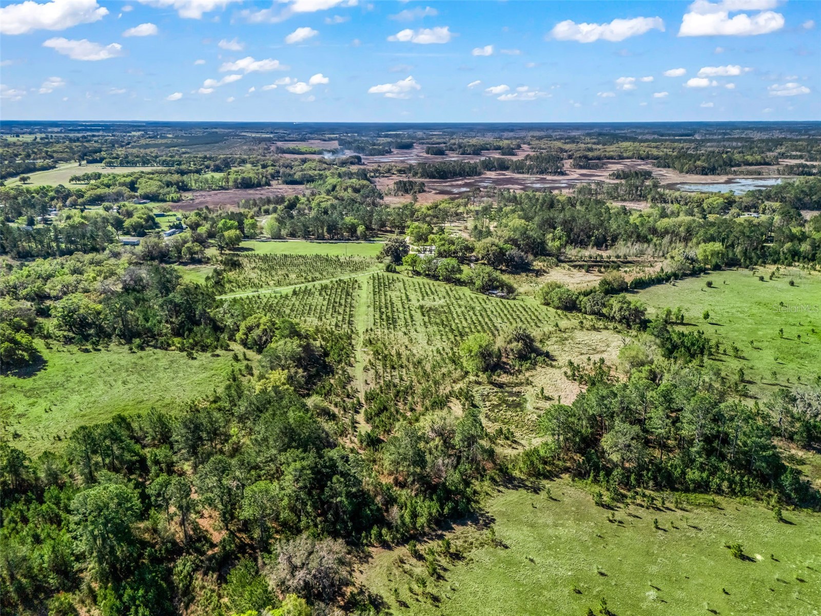 6350 NE 86th Avenue Bronson FL 32621 OM721098 image90