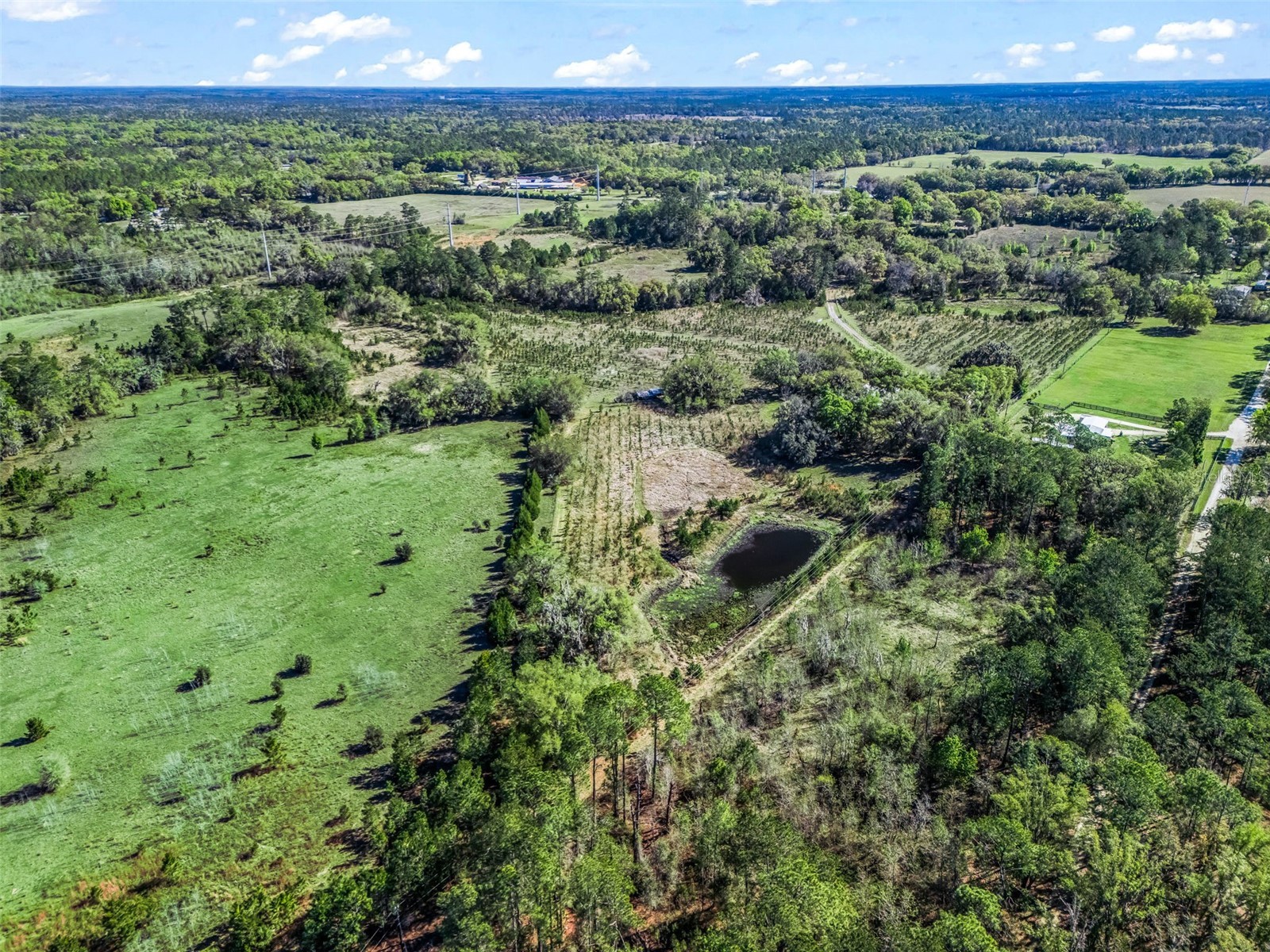 6350 NE 86th Avenue Bronson FL 32621 OM721098 image92