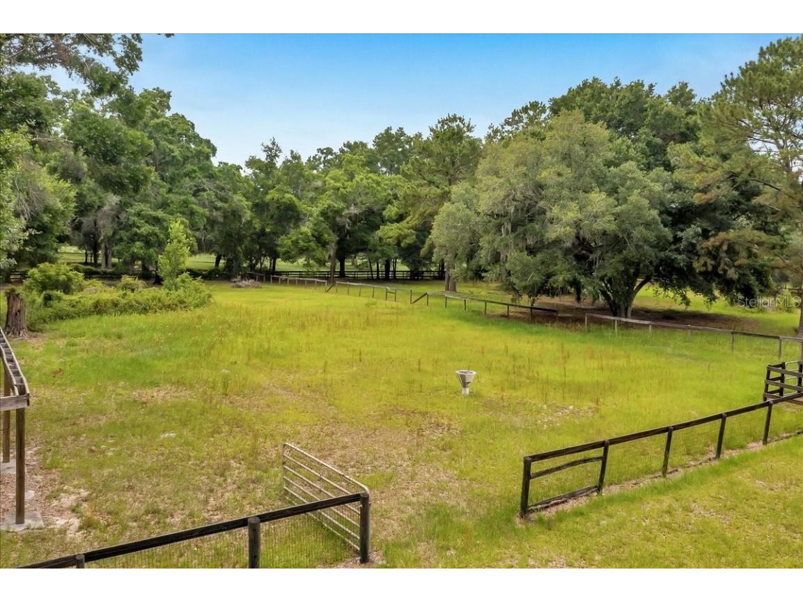 6350 NW 135th Avenue Morriston FL 32668 OM702724 image12