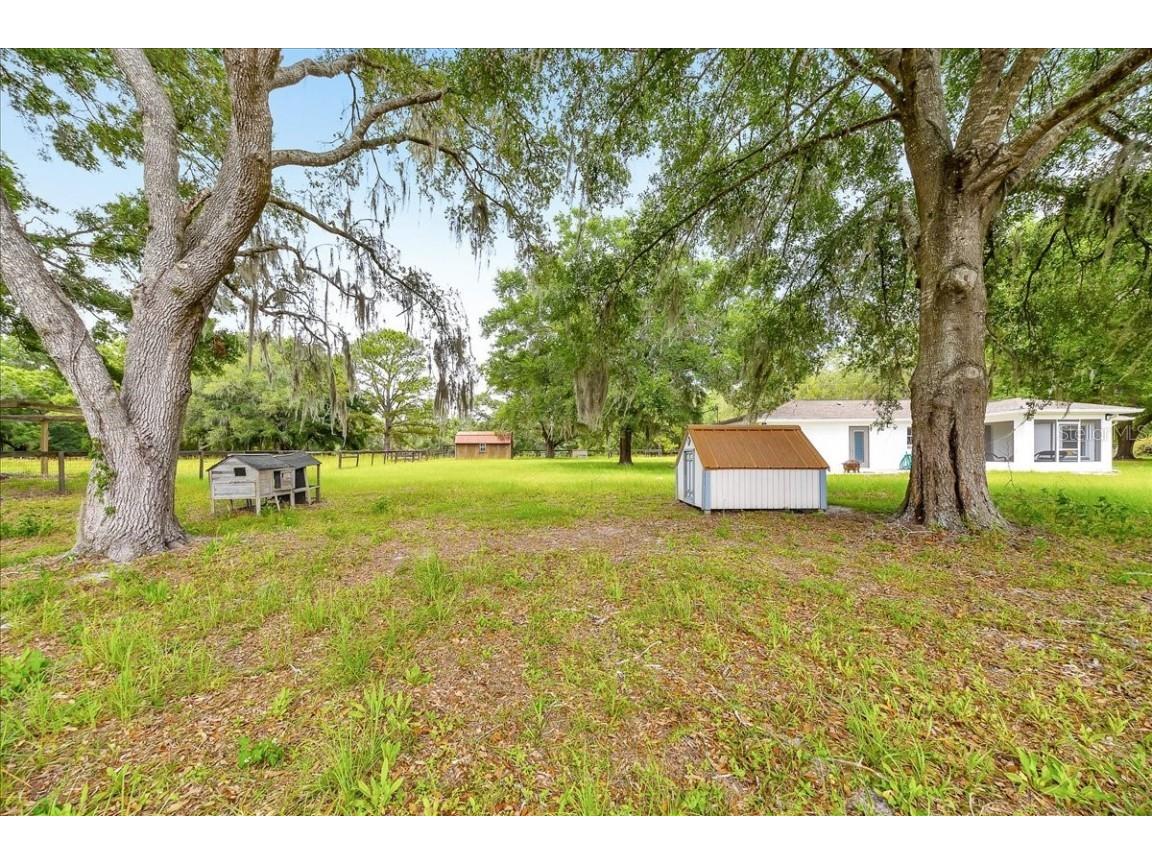 6350 NW 135th Avenue Morriston FL 32668 OM702724 image5