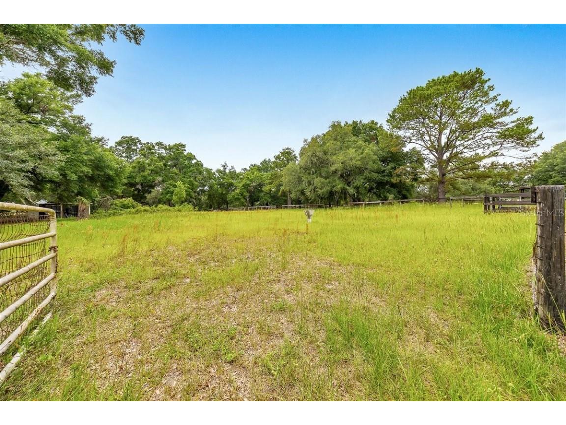 6350 NW 135th Avenue Morriston FL 32668 OM702724 image6